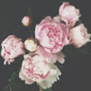 Meet your Posher, Gina